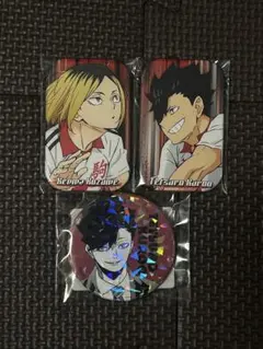 ハイキュー‼︎缶バッジセット