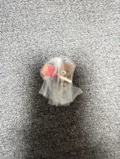 チャイロイコグマ チュッパチャプス