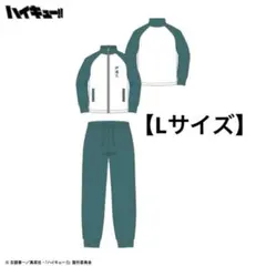 ハイキュー!!×しまむら コラボ ジャージ 上下セット 伊達工 メンズ Lサイズ