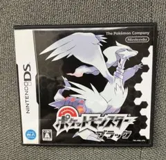 NINTENDO DS ポケモン ポケットモンスター ブラック