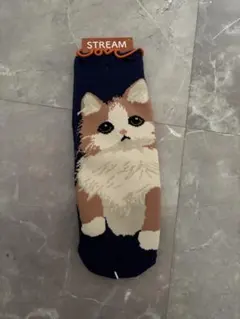 Item thumbnail for item 27267d20-e8e8-44a1-9709-c34642ca7d90