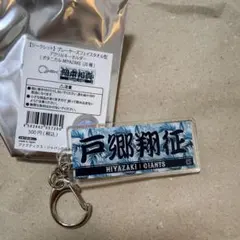 読売ジャイアンツ 戸郷翔征 アクリルキーホルダー