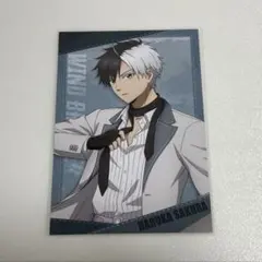 WIND BREAKER ウィンブレ クールデニム 桜 ポスカ