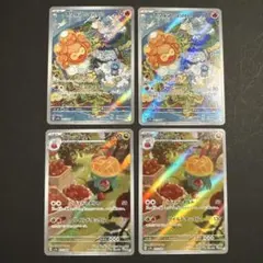 楽園ドラゴーナ AR セット タルップル ポワルン たいようのすがた