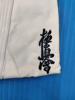 Item thumbnail for item dc2e8103-2a0e-4fab-94c0-77a5dab58810