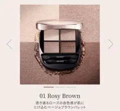 コスメデコルテ スキンシャドウデザイニングパレット 01 Rosy Brown