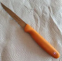 Item thumbnail for item 8e553139-f7aa-495a-a4a4-f2c8a2c37ba7