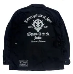 Item thumbnail for item 195a6c45-2793-417b-8e0c-a32b6d6a523e