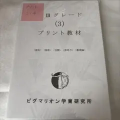 あにたす様 リクエスト 2点 まとめ商品