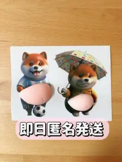 おなかぷにぷにシール　お腹　柴犬　スクイーズ　シリコン 2匹