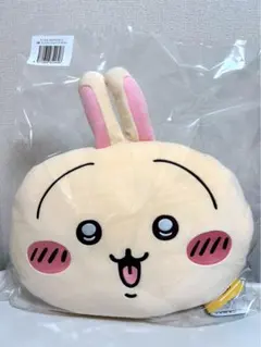 Item thumbnail for item c1fab9a3-4474-4d13-821a-ef9df4f8ac7a