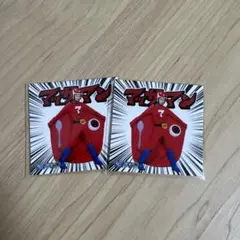 マッサマン シール 向井康二 2枚セット