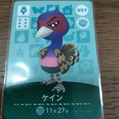 あつまれどうぶつの森　amiiboカード　ケイン