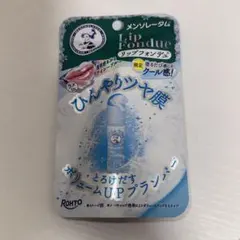 멘소래담 립 퐁듀 리미티드 아이스 블루