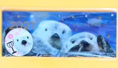鳥羽水族館 ラッコ メイ キラ カレンダー＆キラちゃん缶バッジ 新品