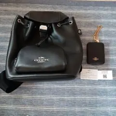COACH デニムシグネチャー ミニリュック ブラック - メルカリ