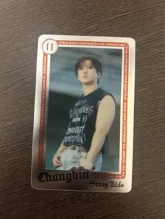 StrayKids チャンビン RANDOM LIVE PHOTO CARD