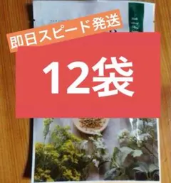 2026年最新】ヨサ YOSA ハーブの人気アイテム - メルカリ