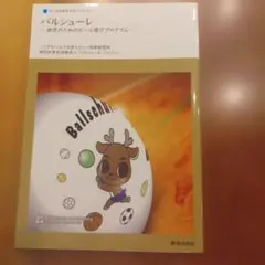 バルシューレ　幼児のためのボール遊びプログラム