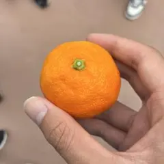 みかんのサムネイル