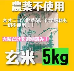 【在庫残りわずか】農薬不使用 化学肥料不使用 除草剤不使用 玄米 お米のサムネイル