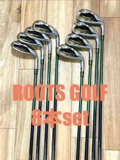 ルーツゴルフ ROOTS GOLF karyou アイアンセット flexR美品のサムネイル