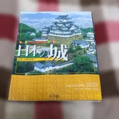 Item thumbnail for item c6147520-dccc-4dd3-b45f-ea0bf982279d