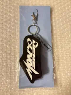 2026年最新】ボイスキーリングの人気アイテム - メルカリ