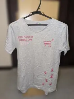【値下】USPP グレー Tシャツ M 猫デザイン