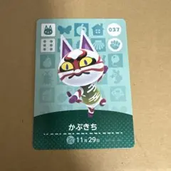 どうぶつの森 amiiboカード 037 かぶきち