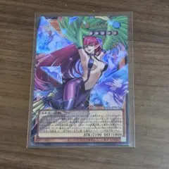 遊戯王 ハーピィ・レディ　華麗なる分身　ウルトラレア　オーバーフレーム