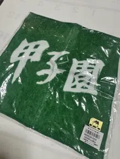 甲子園 ハンドタオル グリーン