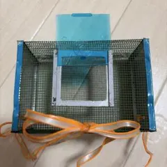 Item thumbnail for item 5a43622c-7e2b-4de0-a6ef-570b6c50e2d6