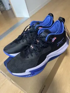 最安値 THE DLO 2 バスケットシューズ ブラック/パープル リーニン