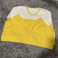 Item thumbnail for item 90146a48-7bdf-4f50-9626-198d8c512cfa