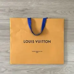 LOUIS VUITTON ショップ袋 単品 大きめ