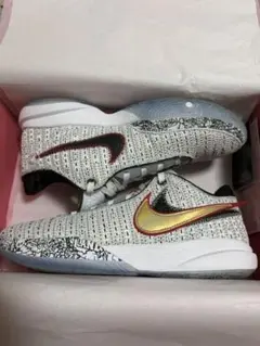 Nike LeBron 20 グローバルラスト unknown 28cm - メルカリ