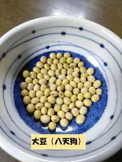 【断捨離奮闘中‼︎様専用】大豆の種のサムネイル