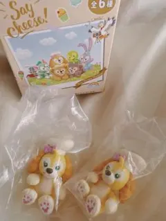 Duffy and friends Cookie Annフィギュア