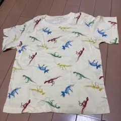 UNIQLOUT 110cm ダイナソー