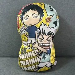 Item thumbnail for item 6bd69d4e-d2bb-409b-b9fc-c655873b83b2