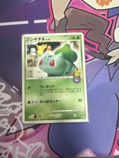 T*B様 【超レア‼️】フシギダネ プロモ 030/DPt-P ポケモンカード
