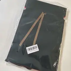 Item thumbnail for item 38dc4410-4d3b-48af-a06b-c886f4feb9b2