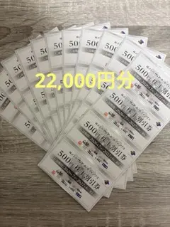 株式会社ヴィア・ホールディングス 株主割引券 500円×44枚　22,000円分のサムネイル