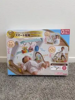 People ピープル 知育ジム&ウォーカー メリーのサムネイル
