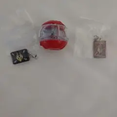 龍騎カプセム、めじるしアクセサリーセット