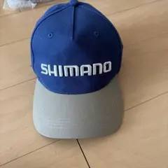 Item thumbnail for item b96e7d9b-04fb-4821-9858-6c8a4af91c32