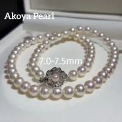 鑑別付/2連/テリ強】あこや真珠 パール ネックレス 5.5-6mm 40g - メルカリ