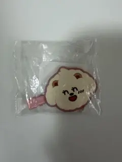 TXT プルバトゥ バムグッ ヘアクリップ カプセルトイ