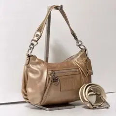 Coach y2k Poppy Metallic Groovy 2way Bag